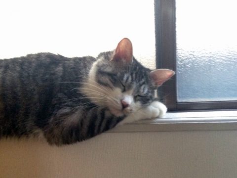 ちょっとはみ出しているけど大丈夫だよ